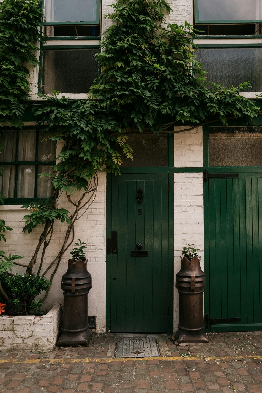 A sage green front door framed by wisteria